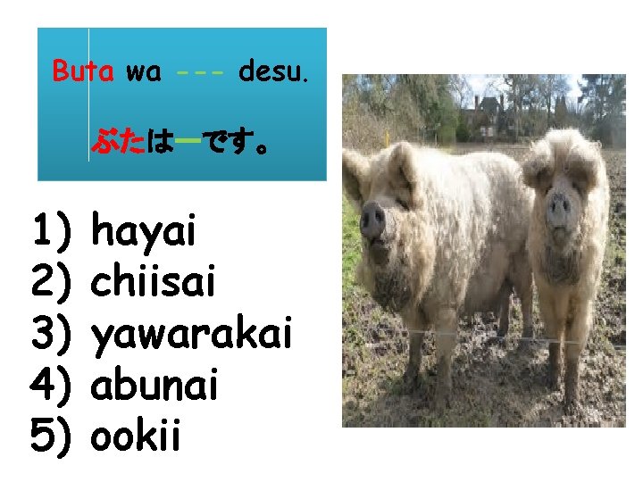 Buta wa --- desu. ぶたはーです。 1) 2) 3) 4) 5) hayai chiisai yawarakai abunai