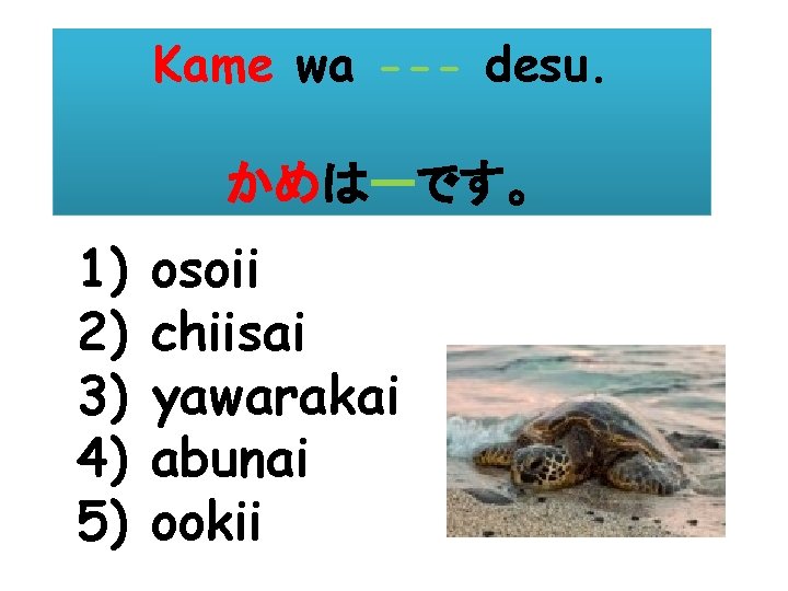 Kame wa --- desu. かめはーです。 1) 2) 3) 4) 5) osoii chiisai yawarakai abunai