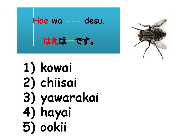 Hae wa --- desu. はえはーです。 1) 2) 3) 4) 5) kowai chiisai yawarakai hayai