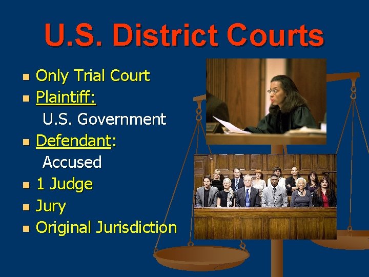 U. S. District Courts n n n Only Trial Court Plaintiff: U. S. Government