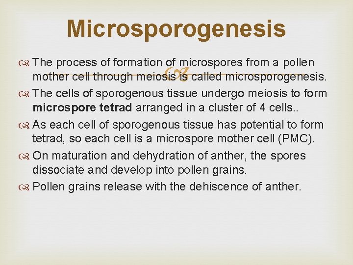 Microsporogenesis The process of formation of microspores from a pollen mother cell through meiosis