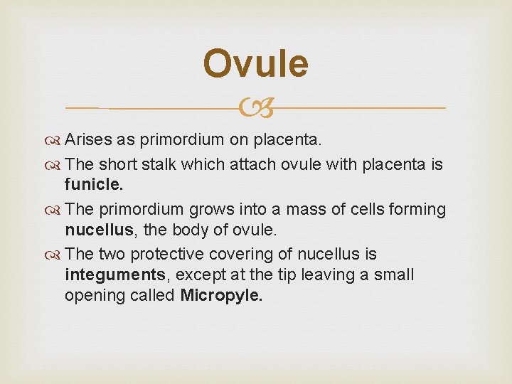 Ovule Arises as primordium on placenta. The short stalk which attach ovule with placenta