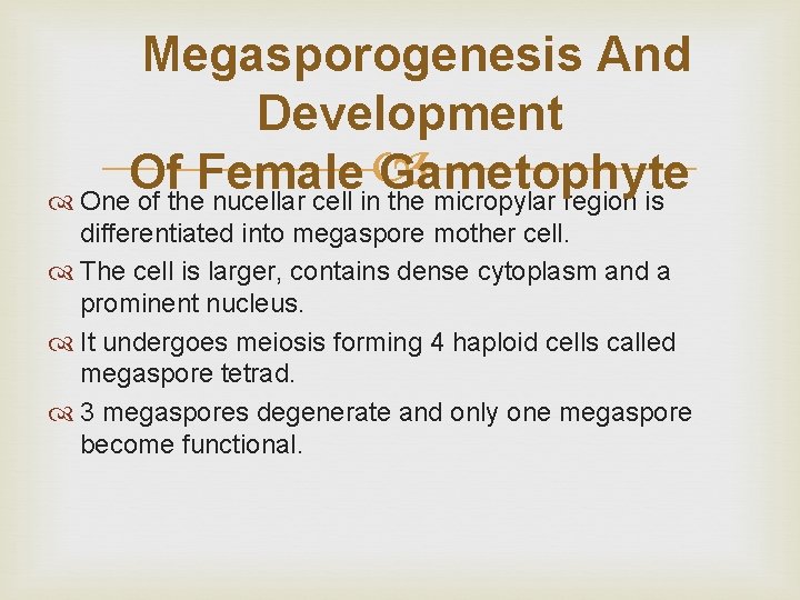 Megasporogenesis And Development Of Female Gametophyte One of the nucellar cell in the micropylar