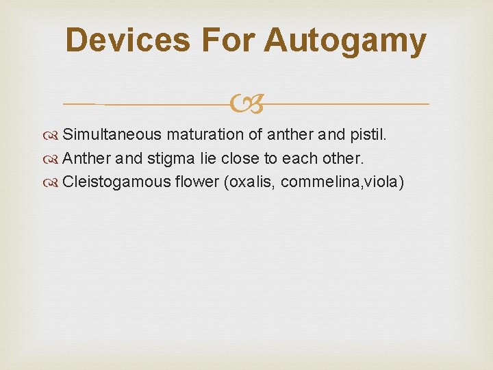 Devices For Autogamy Simultaneous maturation of anther and pistil. Anther and stigma lie close