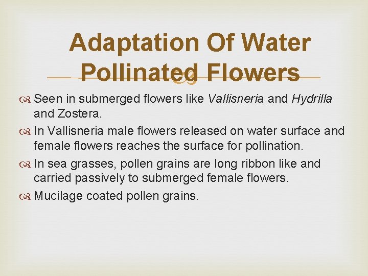 Adaptation Of Water Pollinated Flowers Seen in submerged flowers like Vallisneria and Hydrilla and