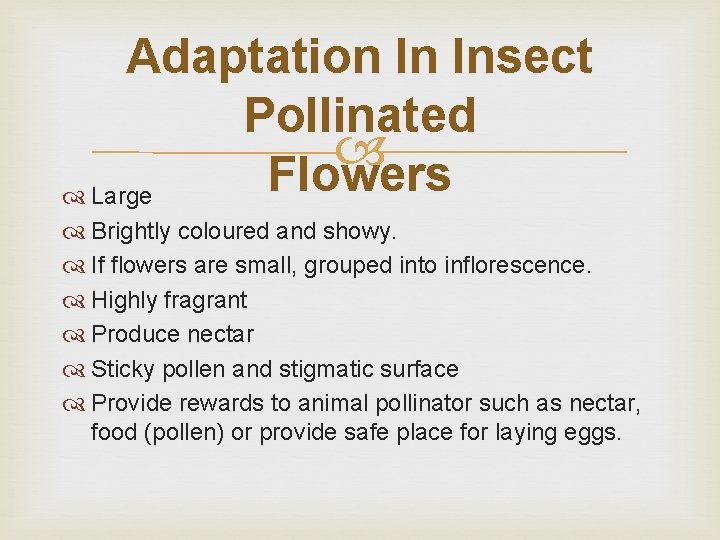 Adaptation In Insect Pollinated Flowers Large Brightly coloured and showy. If flowers are small,
