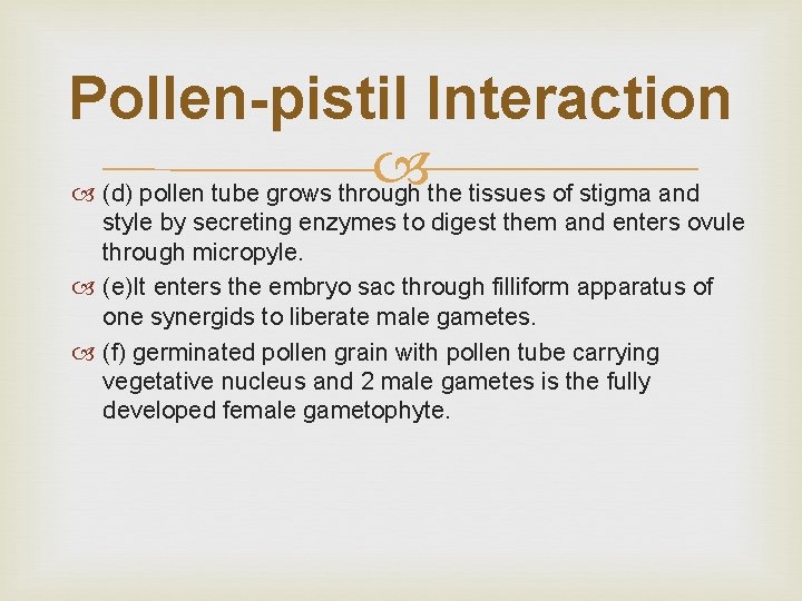 Pollen-pistil Interaction (d) pollen tube grows through the tissues of stigma and style by
