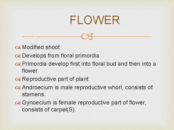 FLOWER Modified shoot Develops from floral primordia Primordia develop first into floral bud and