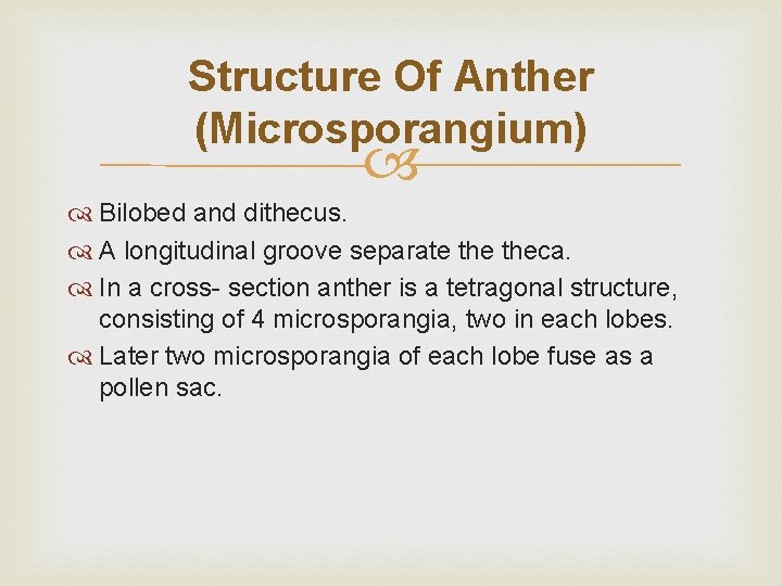 Structure Of Anther (Microsporangium) Bilobed and dithecus. A longitudinal groove separate theca. In a