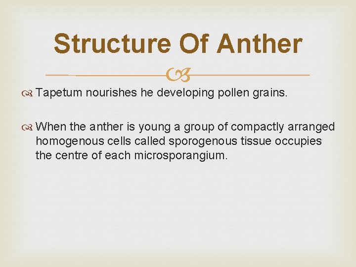 Structure Of Anther Tapetum nourishes he developing pollen grains. When the anther is young