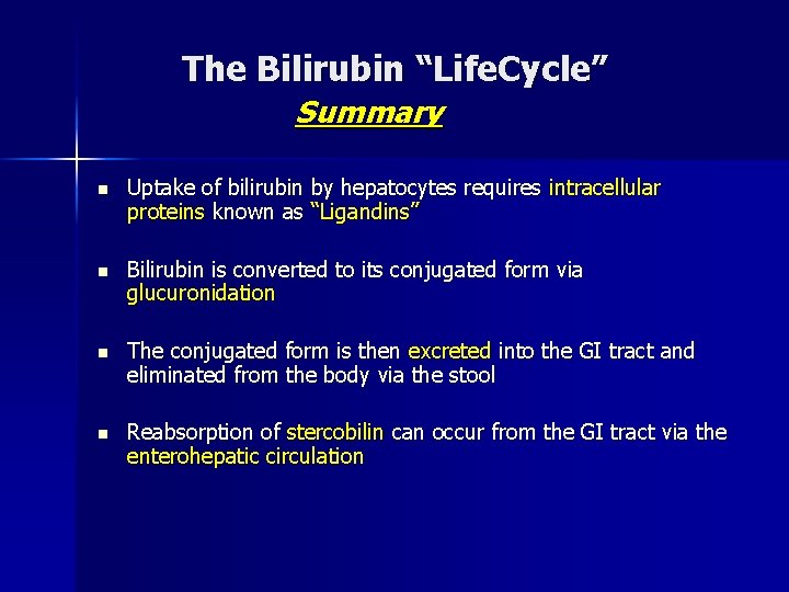 The Bilirubin “Life. Cycle” Summary n Uptake of bilirubin by hepatocytes requires intracellular proteins