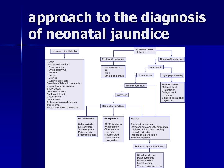 approach to the diagnosis of neonatal jaundice 