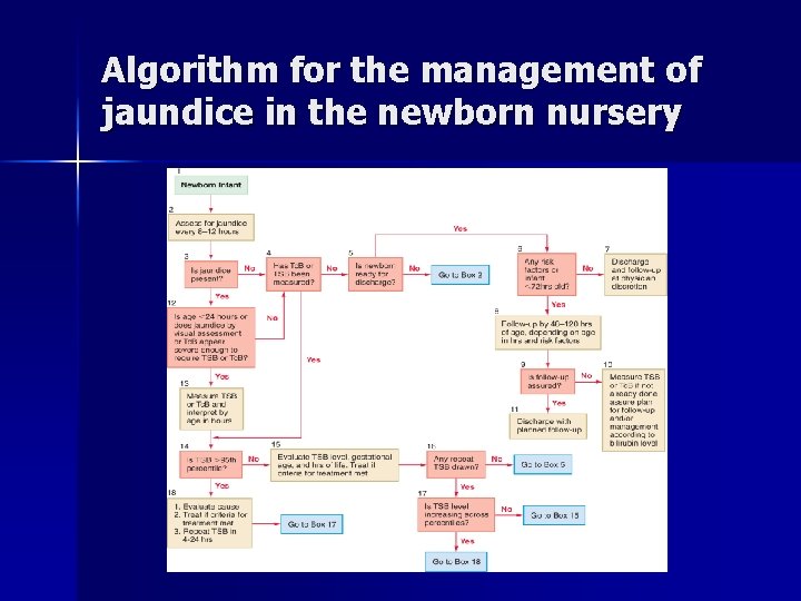 Algorithm for the management of jaundice in the newborn nursery 