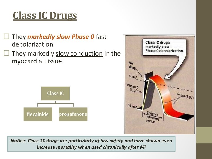 Class IC Drugs � They markedly slow Phase 0 fast depolarization � They markedly