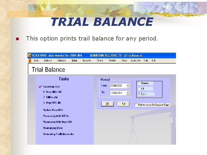 TRIAL BALANCE n This option prints trail balance for any period. 