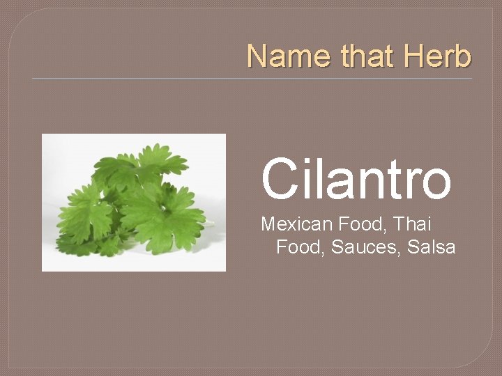 Name that Herb Cilantro Mexican Food, Thai Food, Sauces, Salsa 