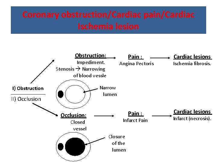 Coronary obstruction/Cardiac pain/Cardiac Ischemia lesion Obstruction: Pain : Impediment. Stenosis Narrowing of blood vessle