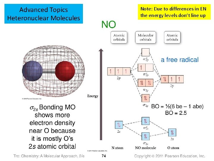 Advanced Topics Heteronuclear Molecules Note: Due to differences in EN the energy levels don’t