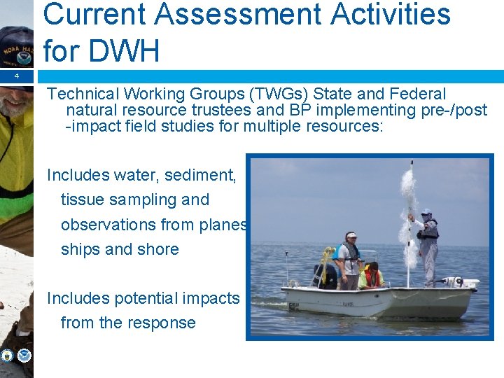 Current Assessment Activities for DWH 4 Technical Working Groups (TWGs) State and Federal natural