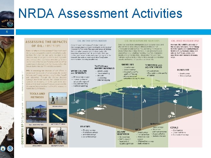 NRDA Assessment Activities 5 
