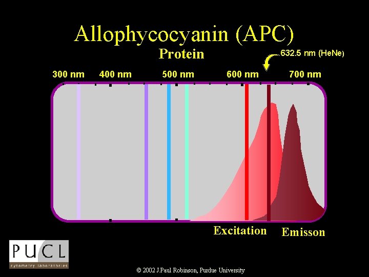 Allophycocyanin (APC) Protein 300 nm 400 nm 500 nm 632. 5 nm (He. Ne)