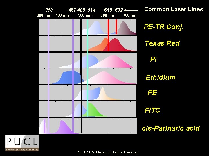 350 300 nm 457 488 514 400 nm 500 nm Common Laser Lines 610