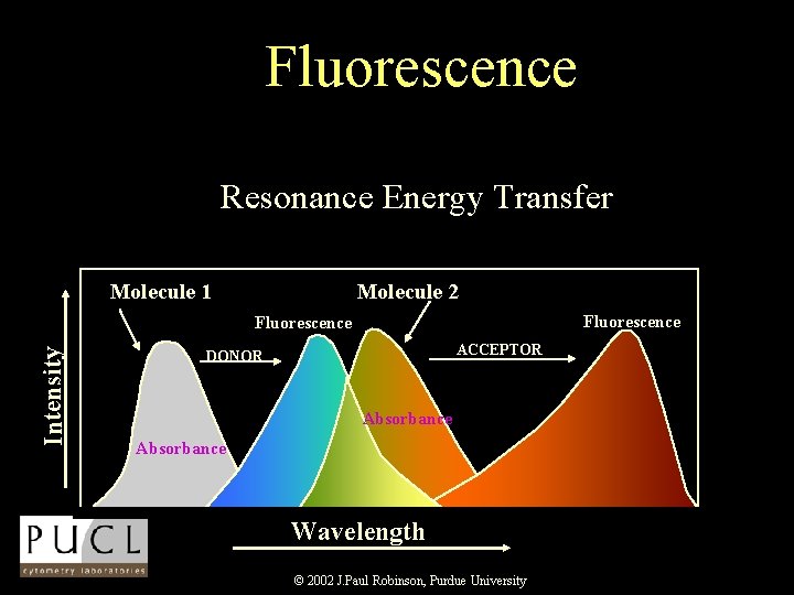 Fluorescence Resonance Energy Transfer Molecule 1 Molecule 2 Fluorescence Intensity Fluorescence ACCEPTOR DONOR Absorbance