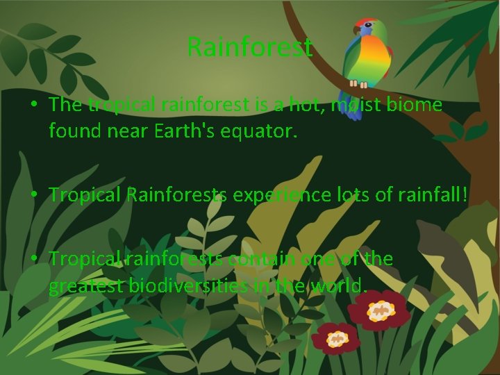 Rainforest • The tropical rainforest is a hot, moist biome found near Earth's equator.