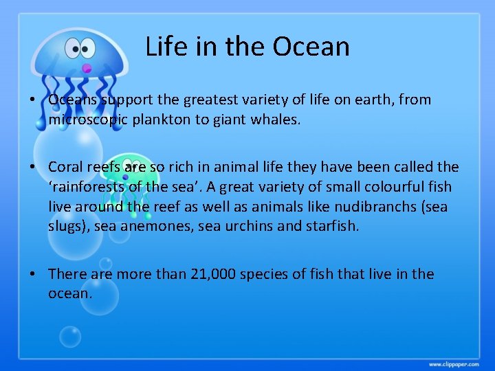 Life in the Ocean • Oceans support the greatest variety of life on earth,