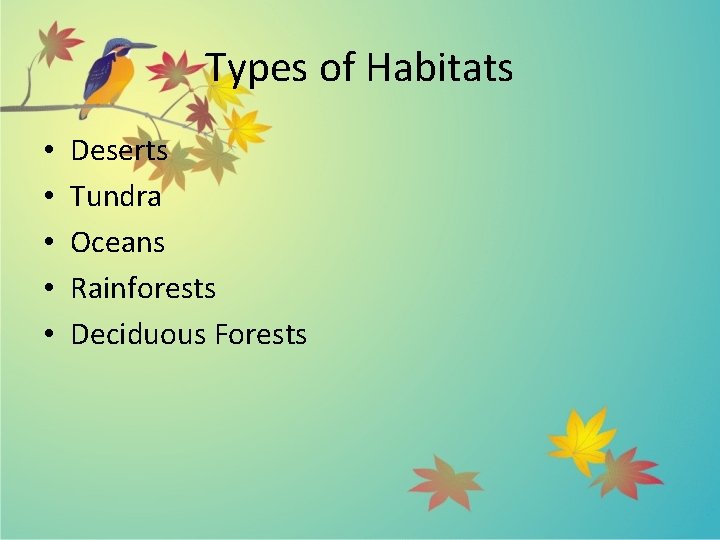Types of Habitats • • • Deserts Tundra Oceans Rainforests Deciduous Forests 