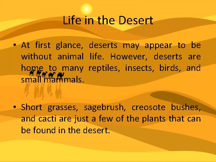Life in the Desert • At first glance, deserts may appear to be without