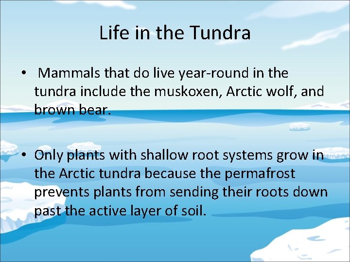 Life in the Tundra • Mammals that do live year-round in the tundra include