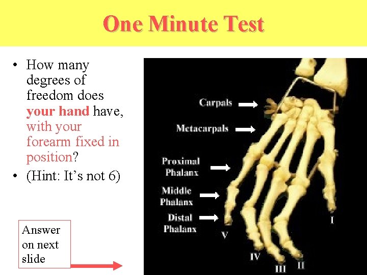 One Minute Test • How many degrees of freedom does your hand have, with