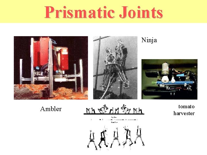 Prismatic Joints Ninja Ambler tomato harvester 