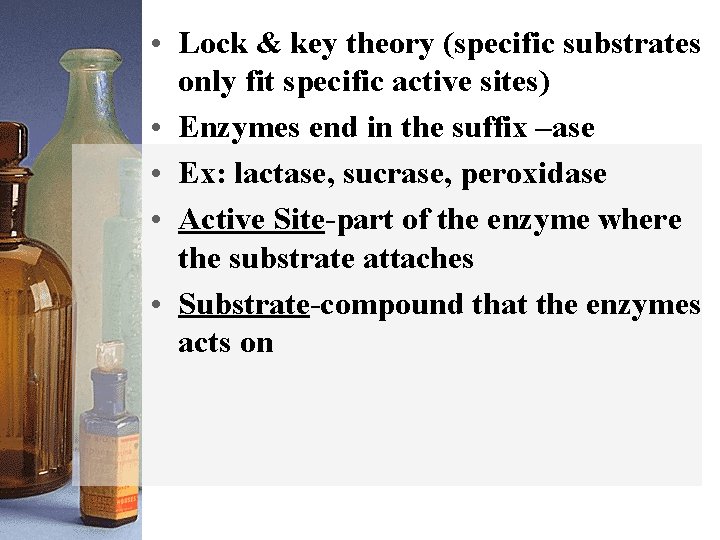  • Lock & key theory (specific substrates only fit specific active sites) •