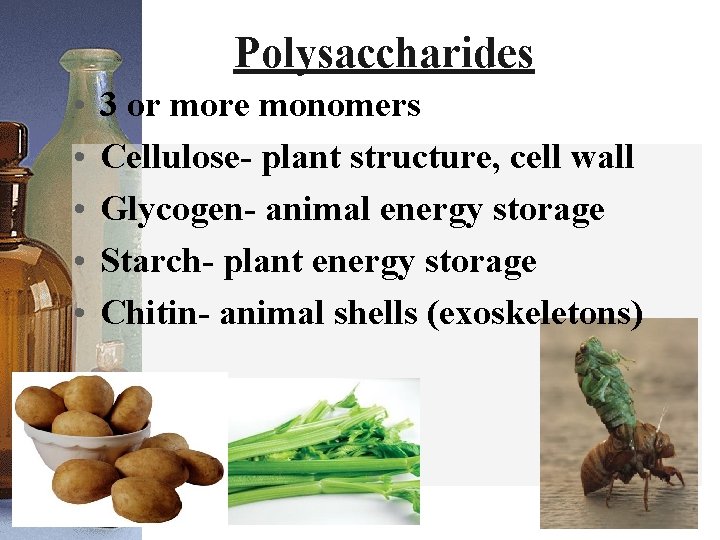 Polysaccharides • • • 3 or more monomers Cellulose- plant structure, cell wall Glycogen-