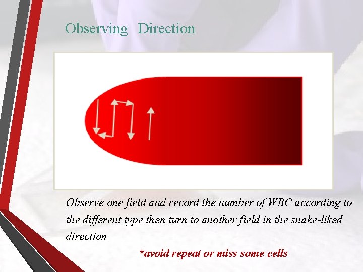 Observing Direction Observe one field and record the number of WBC according to the