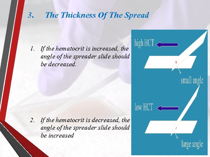 3. The Thickness Of The Spread 1. If the hematocrit is increased, the angle