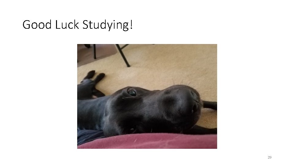 Good Luck Studying! 29 