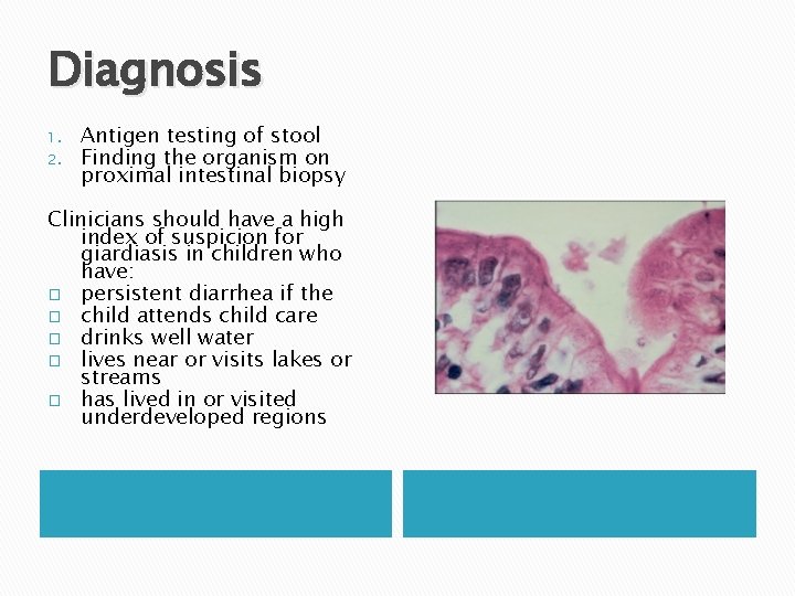 Diagnosis 1. 2. Antigen testing of stool Finding the organism on proximal intestinal biopsy