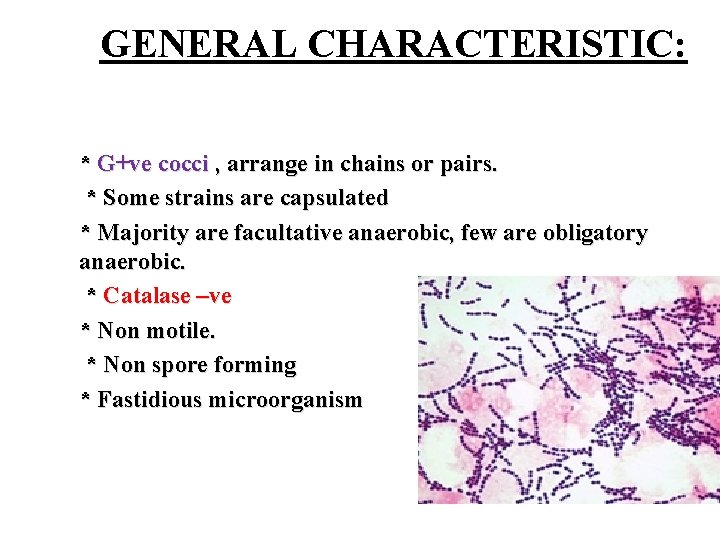 GENERAL CHARACTERISTIC: * G+ve cocci , arrange in chains or pairs. * Some strains