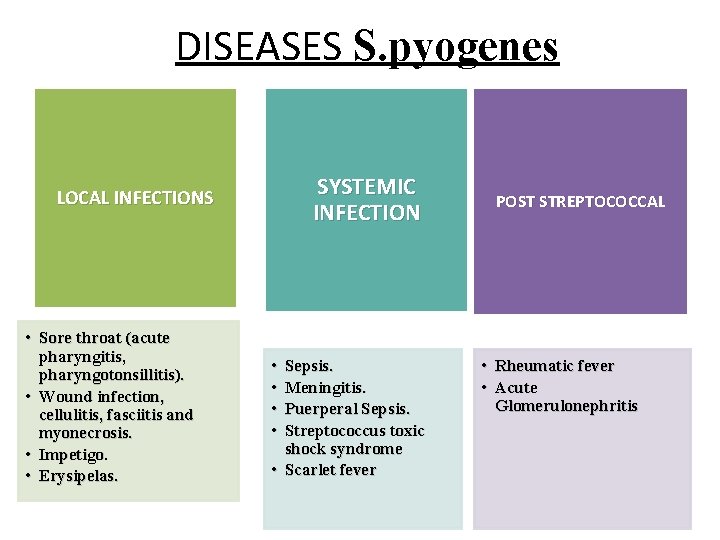 DISEASES S. pyogenes SYSTEMIC INFECTION LOCAL INFECTIONS • Sore throat (acute pharyngitis, pharyngotonsillitis). • DISEASES S. pyogenes SYSTEMIC INFECTION LOCAL INFECTIONS • Sore throat (acute pharyngitis, pharyngotonsillitis). •