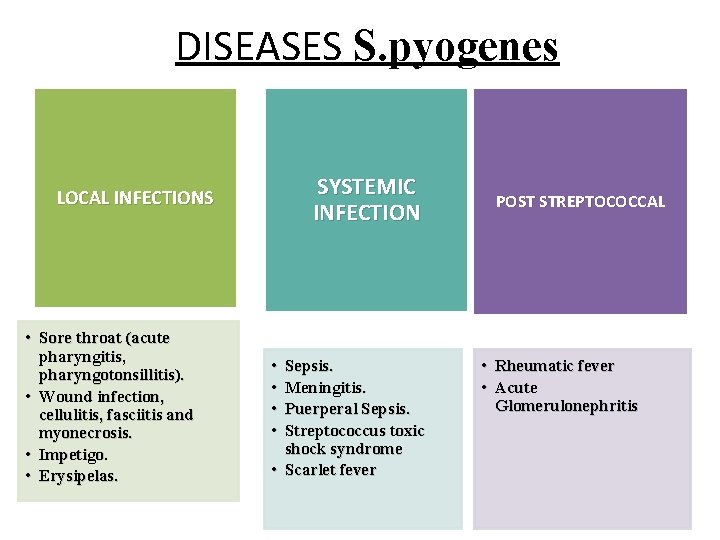 DISEASES S. pyogenes SYSTEMIC INFECTION LOCAL INFECTIONS • Sore throat (acute pharyngitis, pharyngotonsillitis). •