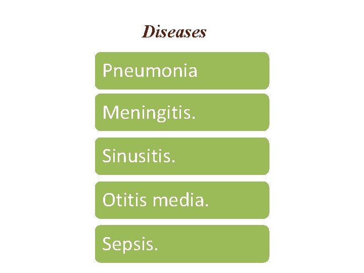 Diseases Pneumonia Meningitis. Sinusitis. Otitis media. Sepsis. 