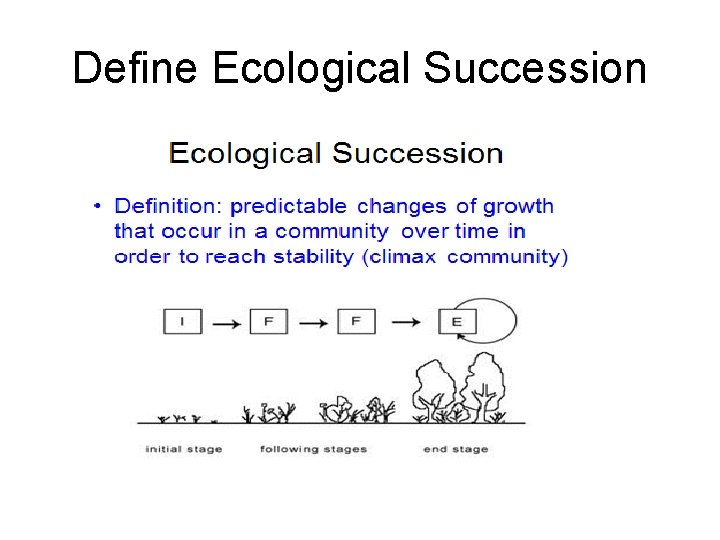 Define Ecological Succession 