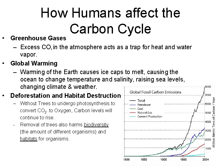  • How Humans affect the Carbon Cycle Greenhouse Gases – Excess CO in