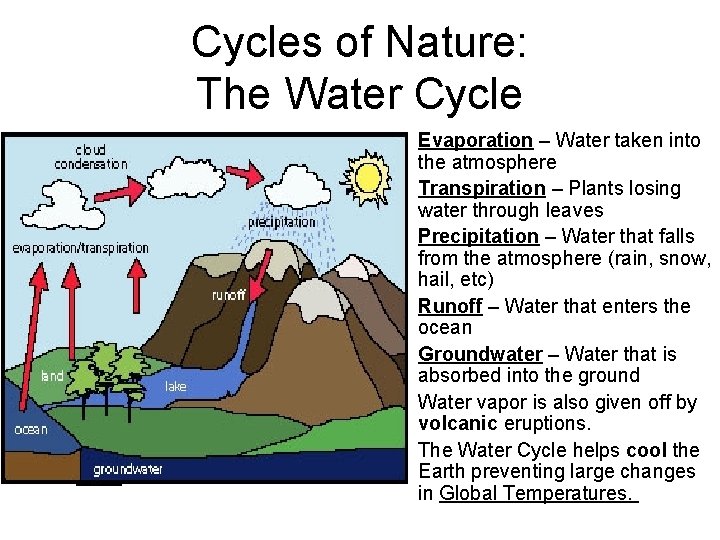 Cycles of Nature: The Water Cycle • Evaporation – Water taken into the atmosphere