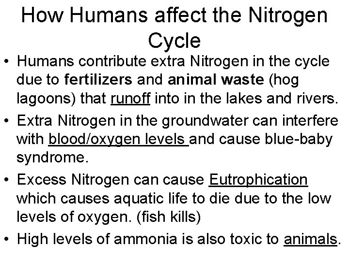 How Humans affect the Nitrogen Cycle • Humans contribute extra Nitrogen in the cycle How Humans affect the Nitrogen Cycle • Humans contribute extra Nitrogen in the cycle