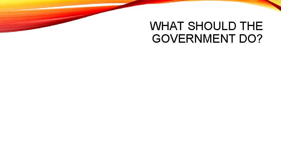 WHAT SHOULD THE GOVERNMENT DO? 