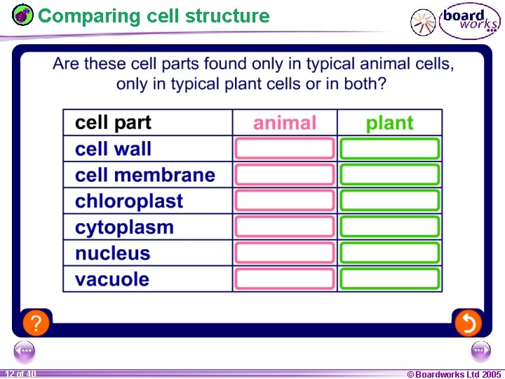Comparing cell structure 1 12 ofof 20 40 © Boardworks Ltd 2005 2004 